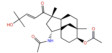 Sarinfacetamide B